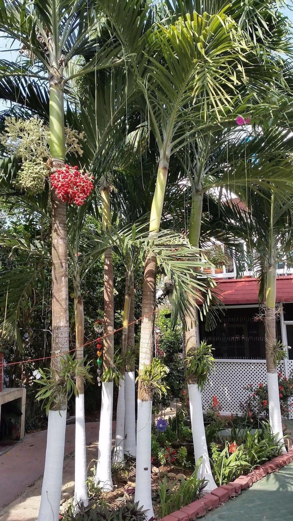 San Andres Ultd Inn Rnt # 30017 Exteriér fotografie